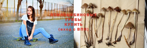 герыч Алексин