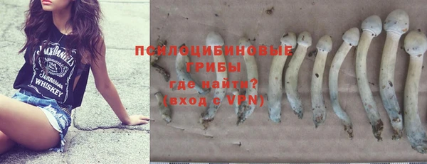 спиды Няндома